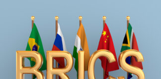 BRICS-Environnement: Les changements climatiques au menu du prochain sommet des BRICS