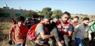 Cisjordanie occupée: Deux Palestiniens tombent en martyrs sous les ballesdes forces de l’occupation sioniste