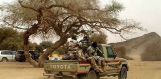 Niger: La Cédéao organise une réunion cruciale pour rétablir l’ordre constitutionnel