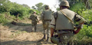 ANP: Arrestation d’un terroriste et 12 éléments de soutien aux groupes terroristes en juillet (bilan)