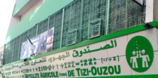 Tizi-Ouzou: 14 céréaliculteurs victimes d’incendies et de grêle indemnisés