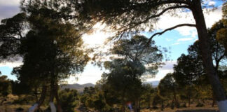 Tourisme et loisirs: Le jardin public de djebel Messaâd à M’sila, un espace de détente et d’oxygénation pour les familles