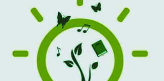 Tizi-Ouzou: Le Festival de l’environnement revient avec de nouvelles ambitions