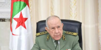 Traitement des défis et des menaces sécuritaires de la région du Sahel: Chanegriha plaide pour des solutions inclusives loin de toute intervention étrangère