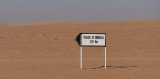 La situation au Niger et l’instabilité régionale: 956 Km de frontière à surveiller comme le lait sur feu