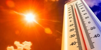 Saison estivale: Gare à forte exposition au soleil !