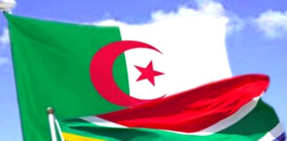 Commerce: Renforcer la coopération bilatérale entre l’Algérie et l’Afrique du Sud