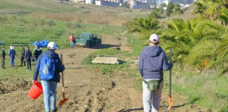 Aïn Defla: Campagne de nettoyage pour lutter contre les feux de forêt