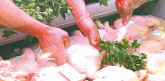 Prix de la volaille à Oran: Sommets alarmants, à 520 DA le kg pour le poulet entier et à 600 DA pour le poulet découpé