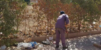 Tlemcen: Large campagne de nettoiement
