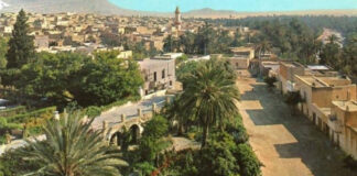 M’sila: 48 dossiers soumis à la commission chargée d’examiner la conformité des terres mises en valeur