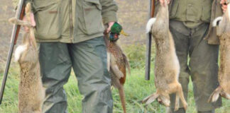 DGF: Tenue mercredi prochain de la première session du Conseil supérieur de la chasse et du patrimoine cynégétique