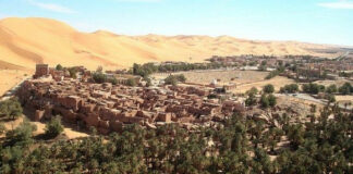 Béchar: Campagne de sensibilisation sur l’importance du parc national naturel Taghit-Guir