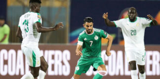 Sénégal – Algérie, demain (20h), à Dakar: Les Verts défient les champions d’Afrique