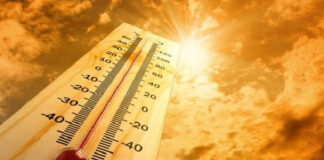 Climat: 2023 sera probablement l’année la plus chaude de l’histoire selon l’observatoire Copernicus