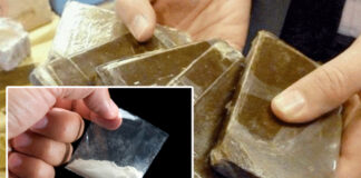 Tlemcen: 90 kg de kif traité et 800 g de cocaïne saisis depuis début 2023