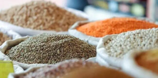 Guelma: Des points mobiles pour la vente de légumes secs à travers les communes