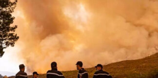 Tizi-Ouzou: D’importants moyens mobilisés pour l’extinction des incendies