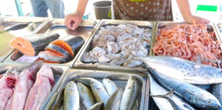 Alger: Ouverture de 6 points de vente directe des productions halieutiqueset aquacoles