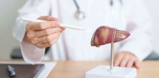 Maladie du foie gras, les espoirs d’un nouveau médicament se concrétisent