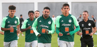 Equipe nationale: Les Verts affûtent leurs armes