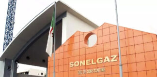 Problématique de la gestion de Sonelgaz: Urgence d’une rationalisation de la consommation d’énergie et du développement des énergies renouvelables