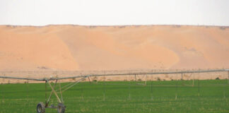 Bechar: Plusieurs opérations pour développer le secteur agricole