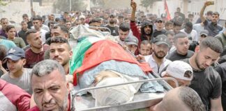 Palestine: Le bilan de l’agression sioniste contre le peuple palestinien monte à 788 martyrs et 4 100 blessés