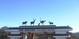 Divertissement à Alger: Ouverture du Parc Safari en 2024 au zoo de Ben Aknoun