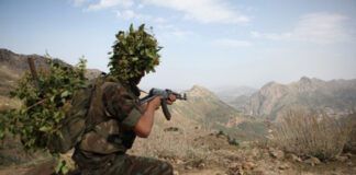 ANP: 9 éléments de soutien aux groupes terroristes arrêtés en une semaine