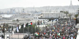 Les Algériens d’une seule voix: «Nous sommes tous Palestine»