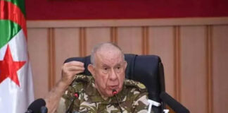 Journée VIP de l’exercice Chemex-Afrique: Le Général d’Armée Chanegriha préside l’ouverture