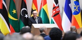 20e session de la réunion des ministres des Affaires étrangères des pays africains-pays nordiques: Attaf met en avant le plaidoyer du président de la République pour les valeurs de dialogue face aux défis actuels
