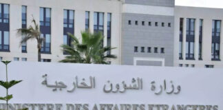 Crise du Niger: L’acceptation de la médiation de l’Algérie au Niger, témoigne de sa force diplomatique dans la région