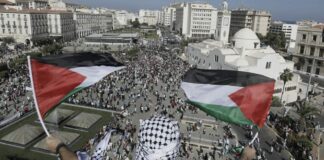 Wilayas du Centre: Marches de solidarité en soutien au peuple palestinien