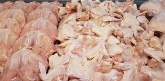 Agriculture: baisse des prix des viandes blanches sur les marchés de gros grâce aux mesures prises en août (ministère)