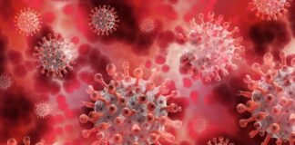 Ces 4 virus mortels se multiplient à un «rythme exponentiel» et tueront 12 fois plus d’ici 2050