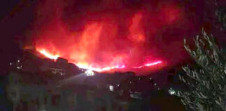 Feux de forêts: Une nouvelle technique pour la prévention précoce des incendie