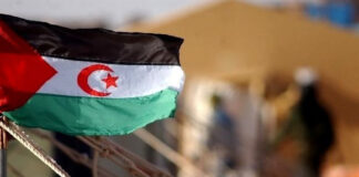 Sahara occidental: La 47e conférence de l’Eucoco prévue les 1er et 2 décembre à Tolède