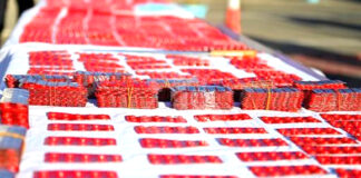 Ghardaïa: Saisie de plus de 7.200 comprimés psychotropes