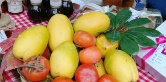 Fête du coing de Miliana (Aïn Defla): Plusieurs participantes pour faire connaître un patrimoine culinaire ancestral