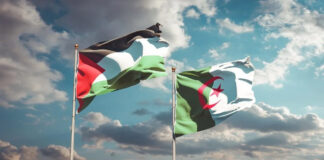 Oran: Réalisation de fresques artistiques en solidarité avec le peuple palestinien