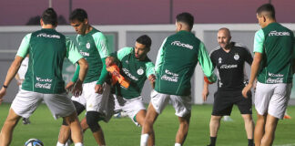 EN: Quel groupe pour Belmadi ?