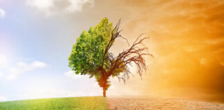 Quels impacts de la COP 28 du 30 novembre au 12 décembre 2023 à Dubaï: Le réchauffement climatique, une menace pour la sécurité mondiale