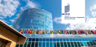 La leçon du rapport 2023 de l’OMPI sur l’indice mondial de l’innovation: Aucun développement durable à moyen terme sans la valorisation du savoir et de la bonne gouvernance