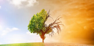 Réunion de la COP 28 du 30 novembre au 12 décembre 2023 à Dubaï, aux Émirats arabes unis: Le réchauffement climatique, une menace pour la sécurité mondiale