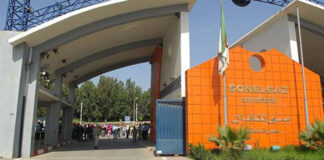 Sonelgaz-Distribution: Plus de 13800 entreprises de réalisation ont bénéficié de pré-qualification