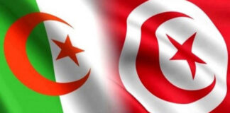 Agriculture: Des opérateurs algériens et tunisiens insistent sur l’exploitation des opportunités de coopération bilatérale