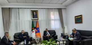 Isolateurs électriques: Sonelgaz réceptionnera ses commandes auprès de Sediver à compter de décembre prochain