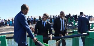 Aïn Témouchent: La LF 2024 prévoit plusieurs mesures incitatives au profit des professionnels de la pêche